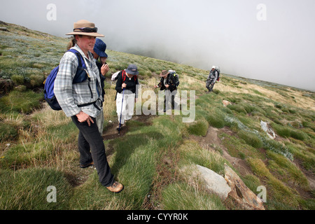 Bushwalkers nelle Alpi Australiano. Kosciuszko National Park, New South Wales. Foto Stock