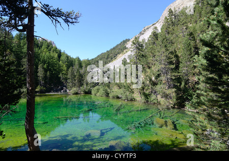 La bella Fir-fianched Lac Vert o Green Lake Etroite Valley o Vallée Etroite Névache Alte Alpi franche Francia Foto Stock