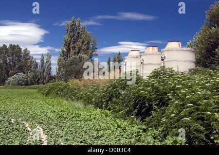 Bianco di vecchi serbatoi di acqua contro il cielo blu Foto Stock