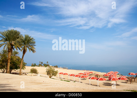 Ein Gedi oase presso il Mar Morto. Israele Foto Stock