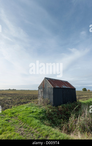 Un metallo ondulato granaio o capannone Nel Cambridgeshire Fens Foto Stock