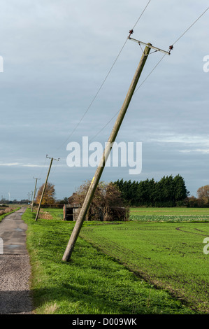 Pali del telegrafo appoggiata male nel Cambridgeshire Fens REGNO UNITO Foto Stock