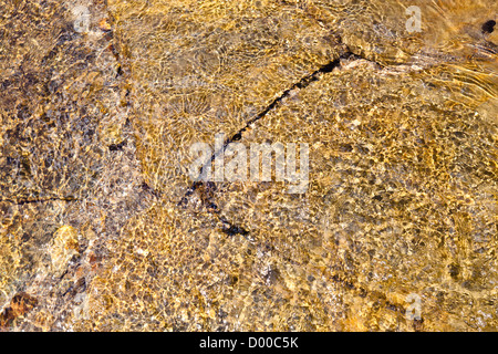 La luce del sole sulle acque increspa la formazione di pattern e distorsione attraverso la rifrazione in acqua di ruscello che scorre sopra la pietra, England, Regno Unito Foto Stock