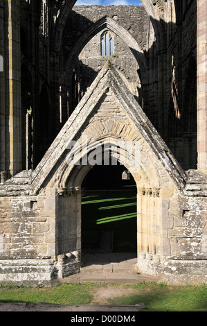 Tintern Abbey nella valle del Wye, Monmouthshire, Wales, Regno Unito. Cistercensi monastero cristiano fondato 1131. Transetto sud porta Foto Stock