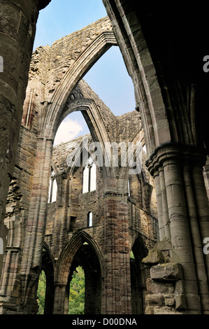 Tintern Abbey nella valle del Wye, Monmouthshire, Wales, Regno Unito. Cistercensi monastero cristiano fondato 1131. Transetto centrale archi Foto Stock