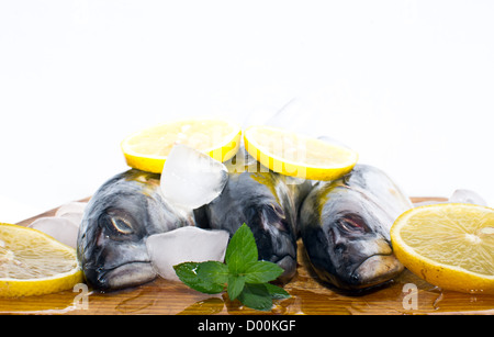 Sgombri freschi pesce su ghiaccio con giallo freschi fette di limone e spezie