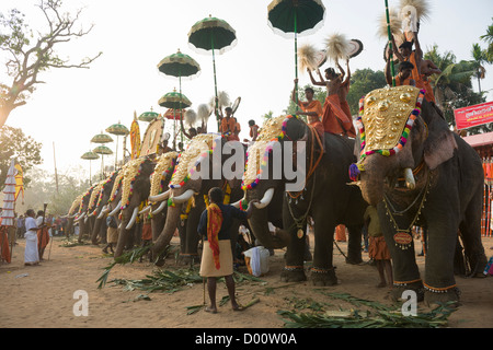 Gli elefanti Caparisoned indossando golden Nettipattam cavalcato da sacerdoti holding Muthukuda ombrelloni e accompagna Venchamaram presso il Tempio Goureeswara Festival, Cherai, vicino a Kochi (Cochin), Kerala, India Foto Stock