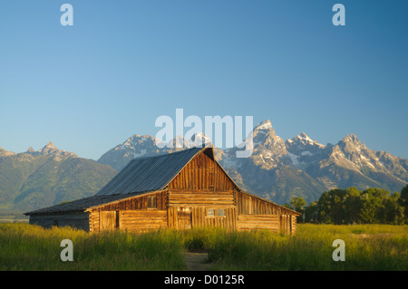 Sunrise su uno dei due celebri Moulton fienili nel Teton National Park Foto Stock