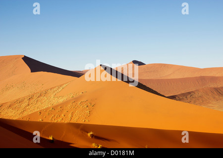 Girovagando dune di Sossuvlei in Namibia Foto Stock