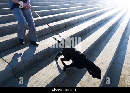 Donna di mezza età e il suo cane camminare in un mare di cemento-difesa. Foto Stock