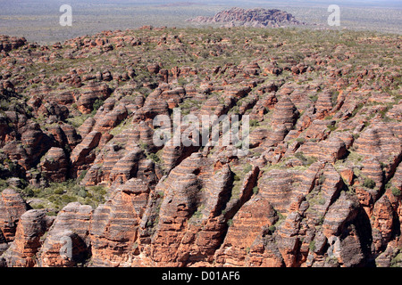 Arenaria e conglomerato formazioni di roccia noto come pasticciare Bungles. Parco Nazionale di Purmululu, Western Australia. Foto Stock