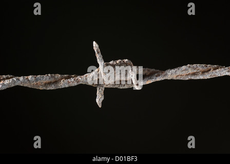 Uno di rusty il filo spinato su sfondo nero Foto Stock