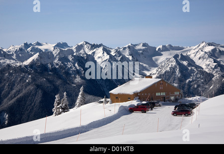 WA06311-00...WASHINGTON - la neve intonacata alberi dopo una tempesta di neve su Hurricane Ridge nel Parco Nazionale di Olympic. Foto Stock