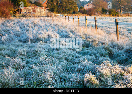 Frosty erbe prima di un ferro corrugato granaio di sunrise nel Wiltshire autunnali paesaggio di campagna a Beckhampton. Foto Stock