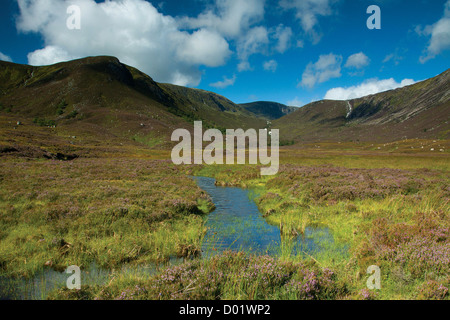 La testa di Loch Muick, Cairngorms National Park, Aberdeenshire Foto Stock