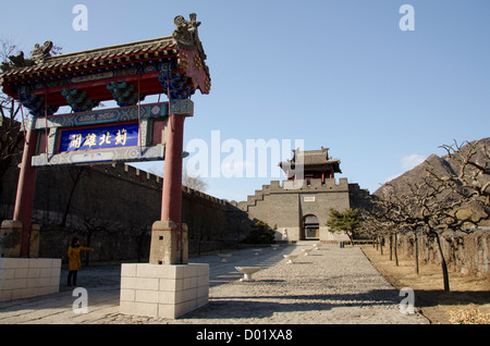 Cina, Provincia di Ji, Tianjin. La Grande Muraglia della Cina a Huangyaguan nel remoto Huangya Pass. Foto Stock