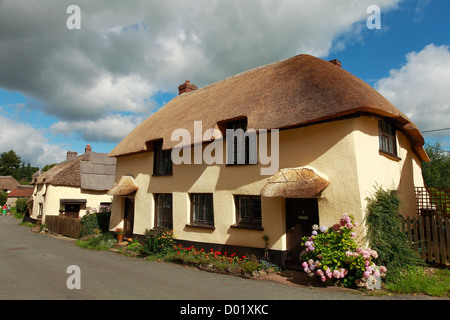 Cottage con tetto in paglia in Broadhembury, Devon Foto Stock