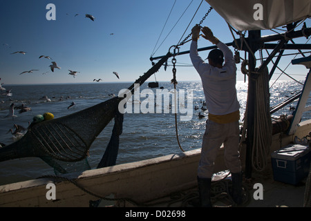 Gamberetti Trawler Foto Stock