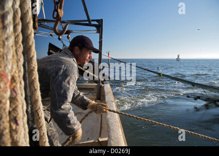 Gamberetti Trawler Foto Stock