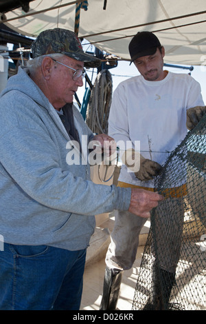 Gamberetti Trawler Foto Stock