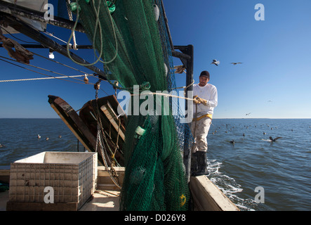 Gamberetti Trawler Foto Stock