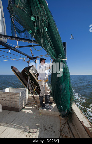 Gamberetti Trawler Foto Stock