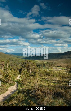 Glen Lui da Creag male un t-Seabhaig, Derry Cairngorm, Aberdeenshire Foto Stock