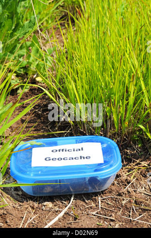 Concetto di geocaching con blue geocache box che mostra gli sport outdoor concept Foto Stock