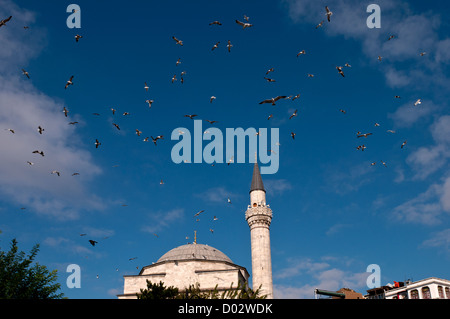 Gabbiani sorvolano il Firuz Aga Moschea e minareto, cielo blu, Sultanahmet, Istanbul, Turchia Foto Stock