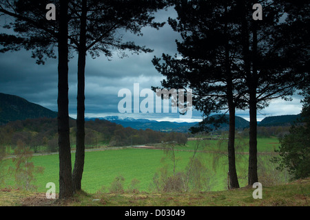 Lochnagar da Cambus o' possono, Aberdeenshire Foto Stock