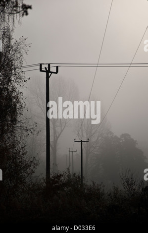 Linee di alimentazione elettrica su pali del telegrafo nel paesaggio rurale in autunno la nebbia Foto Stock