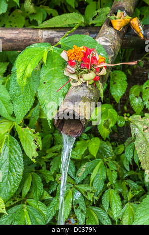 I religiosi offerta di fiori e cibo a sinistra su un bambù tubazione acqua, Gitgit, nord di Bali, Indonesia Foto Stock