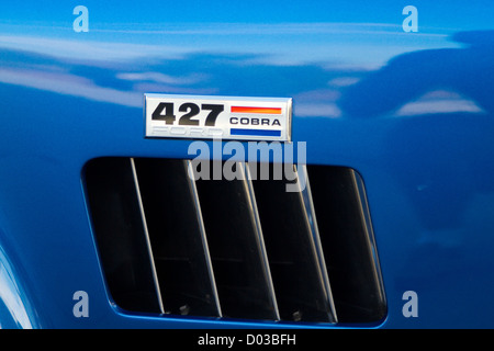 1965 Ford Shelby Cobra 427 dettaglio closeup Foto Stock