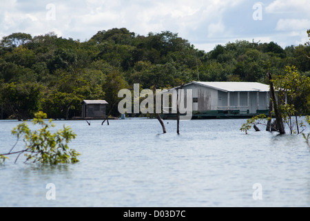 Casa galleggiante a Anavilhanas area protetta, foresta amazzonica, Brasile del Nord. Appartiene alla ICMbio. Foto Stock