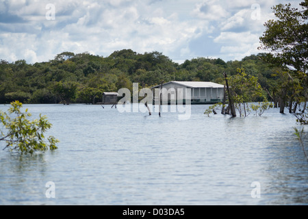 Casa galleggiante a Anavilhanas area protetta, foresta amazzonica, Brasile del Nord. Appartiene alla ICMbio. Foto Stock
