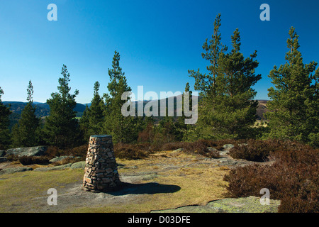 Craigendarroch, Ballater, Aberdeenshire Foto Stock