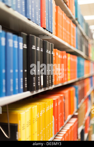 Libri e libri di testo mostrato in una scuola di Impostazione / regolazione della libreria (libro leganti sono realizzati su misura e non il diritto d'autore) Foto Stock