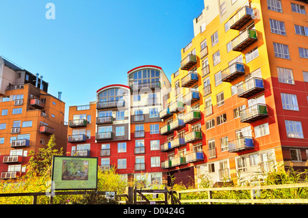 Appartamento colorati blocchi al Greenwich Millennium Village, penisola di Greenwich, London, SE10 Foto Stock