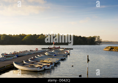 Gommoni barche ormeggiate sul serbatoio Hanningfield in Essex. Foto Stock