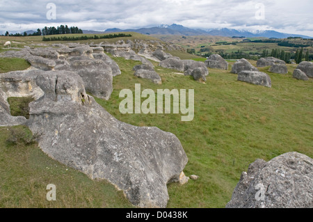 Il paesaggio strano a Elephant Rocks, North Otago nell'Isola del Sud della Nuova Zelanda Foto Stock