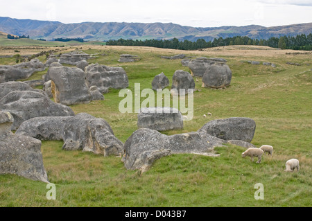 Il paesaggio strano a Elephant Rocks, North Otago nell'Isola del Sud della Nuova Zelanda Foto Stock