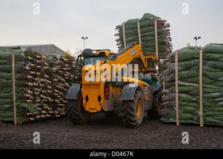 Un movimentatore telescopico JCB lo scarico di alberi di Natale in Lancashire Foto Stock