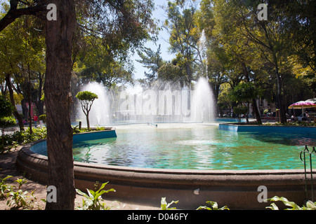 Plaza Luis Cabrera a Roma nel quartiere di Città del Messico DF Foto Stock