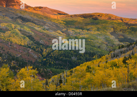 La caduta o l'autunno in Manti La Sal Mountains, con aspens, vicino a Monticello, Utah, Stati Uniti d'America Foto Stock