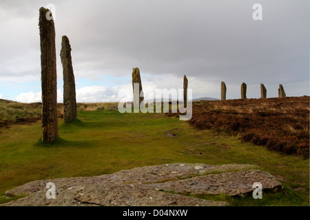 Parte del neolitico cerchio di pietra dell'anello di Brodgar sull isola di Orkney, Scozia. Foto Stock