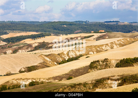 L'Europa, Italia, Toscana, Siena, crete senesi, paesaggio Foto Stock