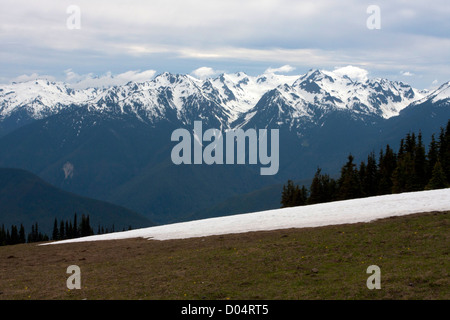 Vista panoramica della Olympic la gamma della montagna nel Parco Nazionale di Olympic. Washington, Stati Uniti d'America da Hurricane Ridge in giugno Foto Stock