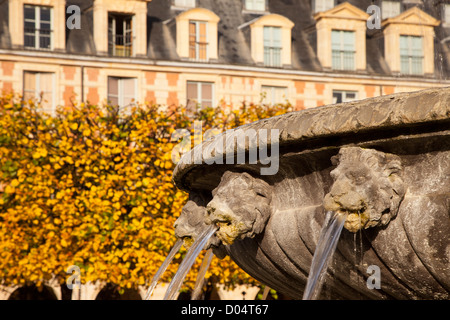 Teste di leone fontana dettagli in Place des Vosges, Les Marais, Parigi Francia Foto Stock