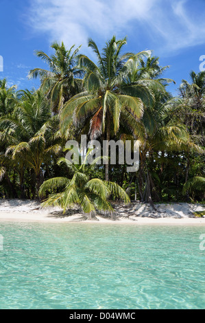 Spiaggia di sabbia bianca con palme da cocco e acque turchesi nelle chiavi Zapatillas isole di Bocas del Toro, Mar dei Caraibi, Panama Foto Stock
