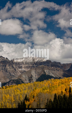 Aspen e le foreste di abete rosso in autunno, guardando verso il Monte Sneffels deserto, San Juan Mountains, Colorado, STATI UNITI D'AMERICA Foto Stock